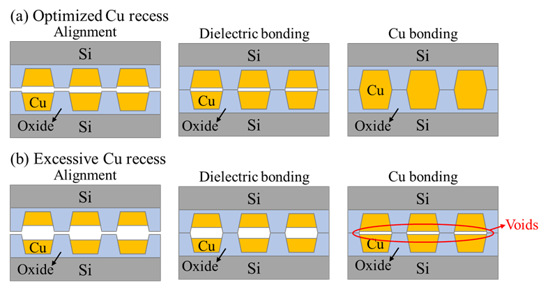 06 (2)